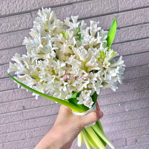 Hoa cưới cầm tay dạ lan hương đẹp trắng tinh khôi V57