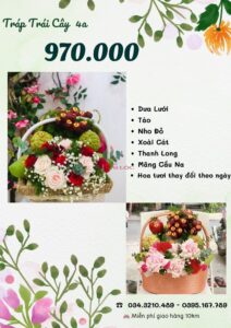 Báo giá tráp dạm ngõ 970 vnđ