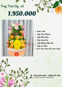 Báo giá tráp dạm ngõ 1.950.000 vnđ
