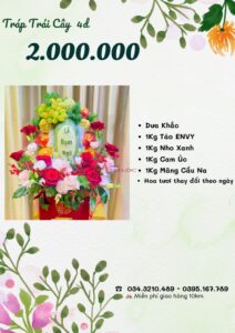 Báo giá tráp dạm ngõ 2.000.000 vnđ