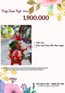 Báo giá tráp dạm ngõ 1.900.000 vnđ