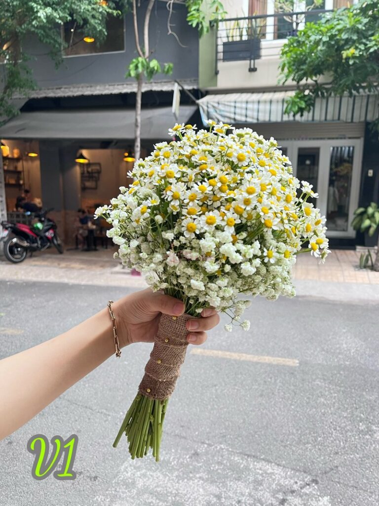 Bó hoa cưới cúc tana mix bibi trắng V1 - 500.000 VNĐ