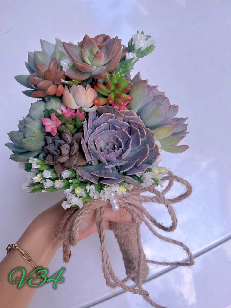 Bó Hoa Sen Đá Cầm Tay